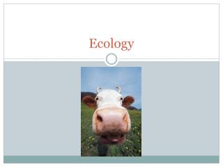 Ecology
