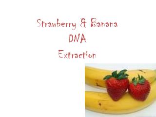 Strawberry & Banana DNA Extraction