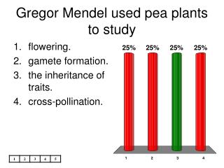 Gregor Mendel used pea plants to study
