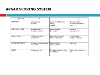 PPT - APGAR SCORING SYSTEM PowerPoint Presentation, free download - ID ...