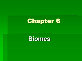 Chapter 6