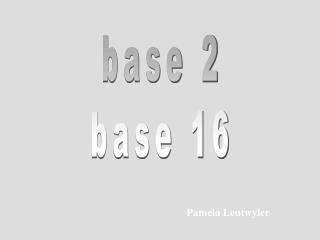 base 2 base 16