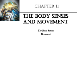 CHAPTER 11