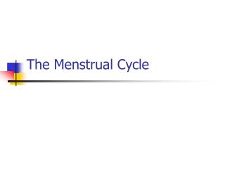 PPT - The Menstrual Cycle PowerPoint Presentation, free download - ID ...