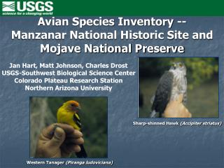Avian Species Inventory -- Manzanar National Historic Site and Mojave National Preserve