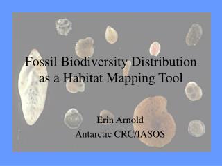 Fossil Biodiversity Distribution as a Habitat Mapping Tool