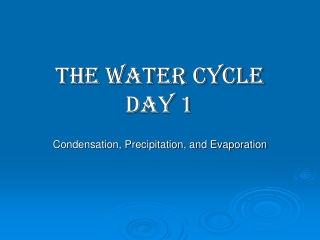 THE WATER CYCLE Day 1