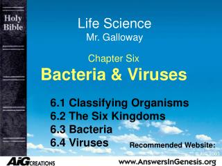 Chapter Six Bacteria & Viruses