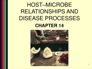 HOST–MICROBE RELATIONSHIPS AND DISEASE PROCESSES