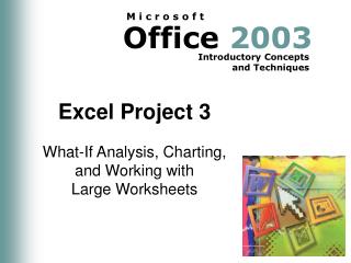 Excel Project 3