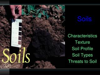 PPT - Soils PowerPoint Presentation, Free Download - ID:3128581