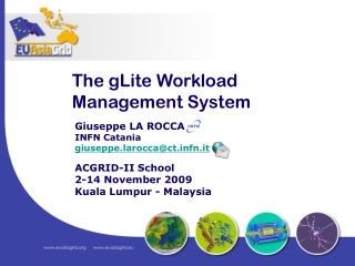 The gLite Workload Management System