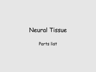 Neural Tissue