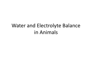 Water and Electrolyte Balance in Animals