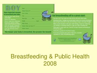 Breastfeeding & Public Health 2008