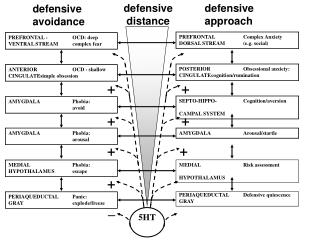 defensive distance