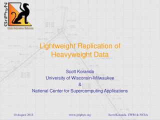 Lightweight Replication of Heavyweight Data