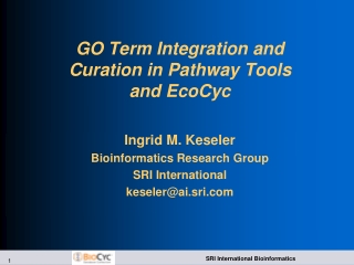 GO Term Integration and Curation in Pathway Tools and EcoCyc