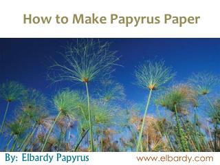 How to Make Papyrus Paper