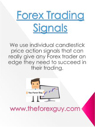 Best Forex Signals