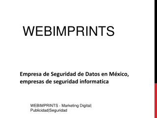 Empresa de Seguridad de Datos en México