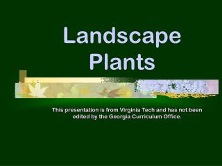 Landscape Plants