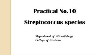 Practical No.10 Streptococcus species
