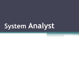 System Analyst