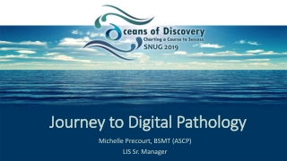 Journey to Digital Pathology
