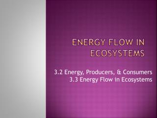 Energy Flow in Ecosystems