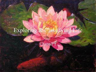 Exploring &amp; Classifying Life