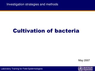 Cultivation of bacteria