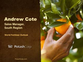 Andrew Cote