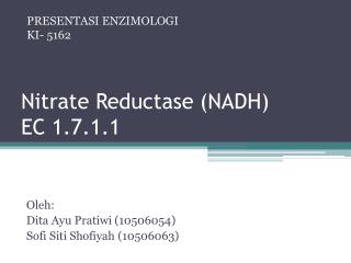 Nitrate Reductase (NADH) EC 1.7.1.1