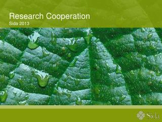 Research Cooperation Sida 2013