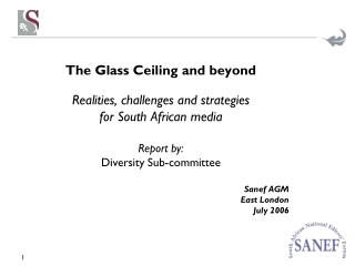 The Glass Ceiling and beyond Realities, challenges and strategies for South African media
