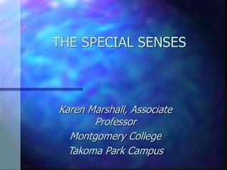 THE SPECIAL SENSES