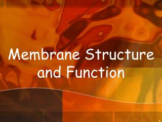 Membrane Structure and Function