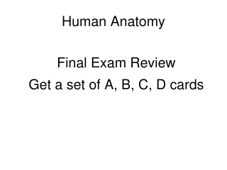 Human Anatomy