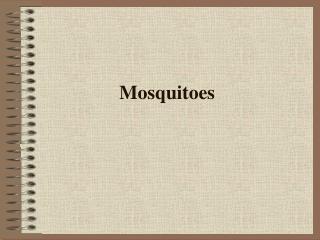 Mosquitoes