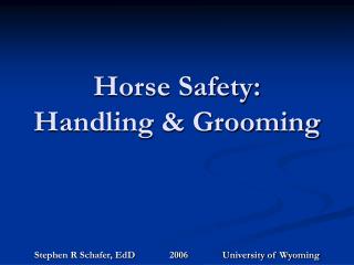 Horse Safety: Handling & Grooming
