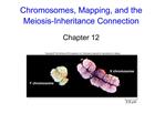 Chromosomes, Mapping, and the Meiosis-Inheritance Connection