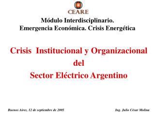 Crisis Institucional y Organizacional del Sector Eléctrico Argentino