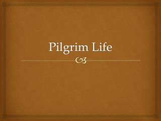 Pilgrim Life