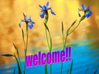 welcome!!