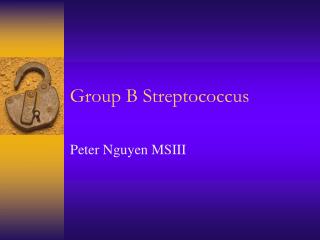 PPT - STREPTOCOCCUS PowerPoint Presentation - ID:2341409