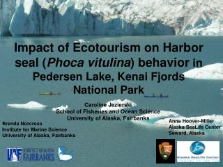 Impact of Ecotourism on Harbor seal ( Phoca vitulina ) behavior in Pedersen Lake, Kenai Fjords National Park