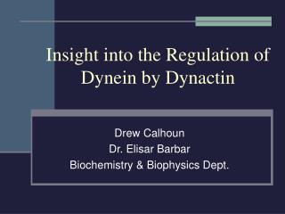 Insight into the Regulation of Dynein by Dynactin