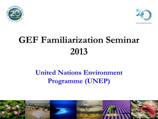 GEF Familiarization Seminar 2013