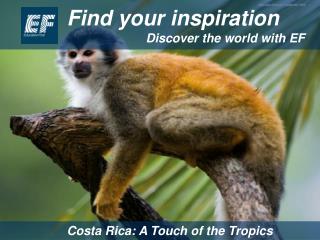 Find your inspiration Discover the world with EF